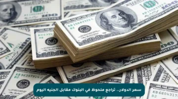 سعر الدولار.. تراجع ملحوظ في البنوك مقابل الجنيه اليوم